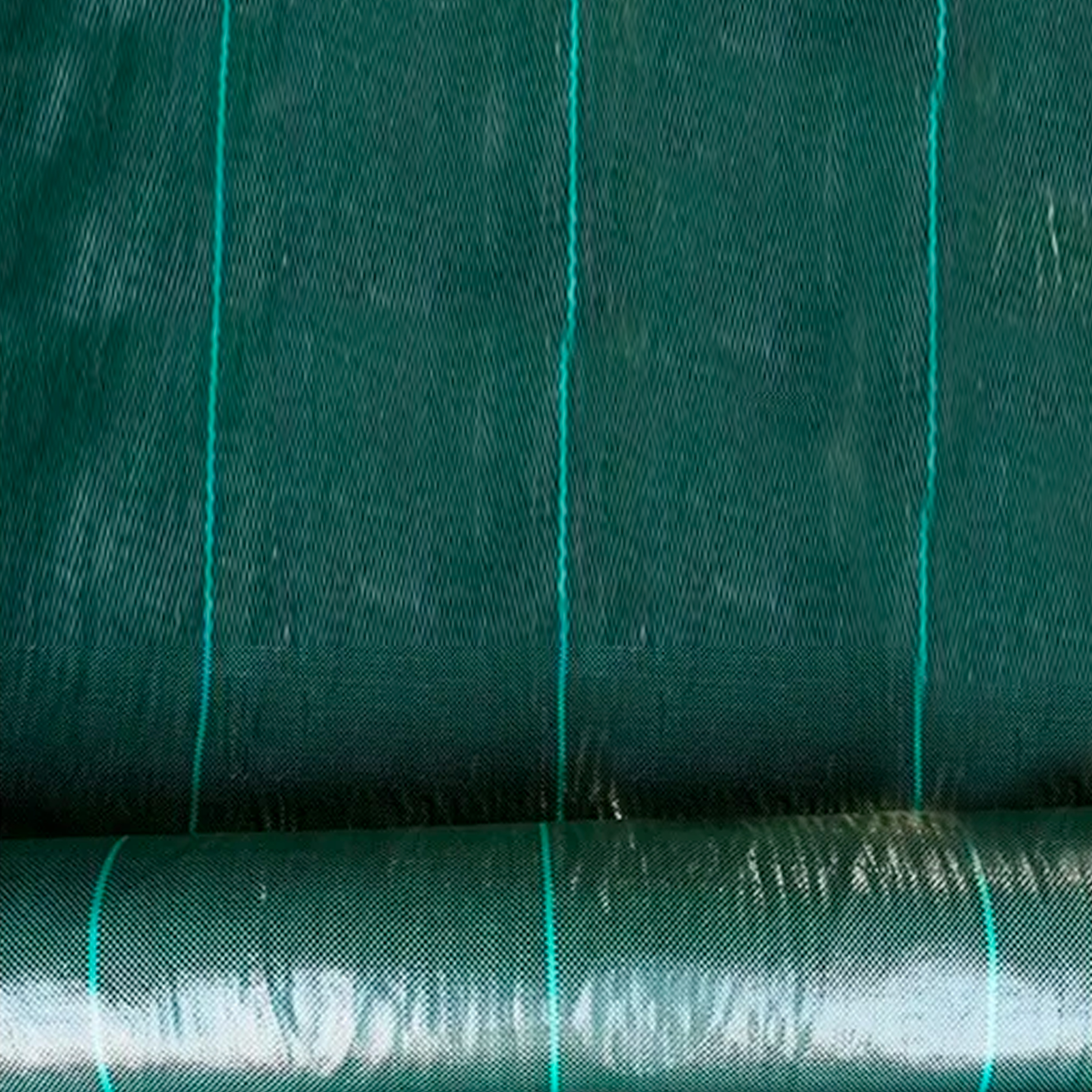 Telo Pacciamatura In Rotoli 90gr/mq Anti Erbacce Pacciamante Per Orto Giardino Elevata Stabilizzazione Raggi UV Permeabile Drenante Copertura Terreno Antialga Calpestabile (H 52 Cm X 25 M, Verde) 11 Telo Pacciamatura In Rotoli 90gr/mq Anti Erbacce Pacciamante Per Orto Giardino Elevata Stabilizzazione Raggi UV Permeabile Drenante Copertura Terreno Antialga Calpestabile (H 52 Cm X 25 M, Verde) -Negozio al dettaglio Piante Casa AAHKMJXYDAFdJAOAIMEbOAch7w5JgkD56B5b mYl T9Isf4DCJN 5REyQjePMyCh ltBtoxu