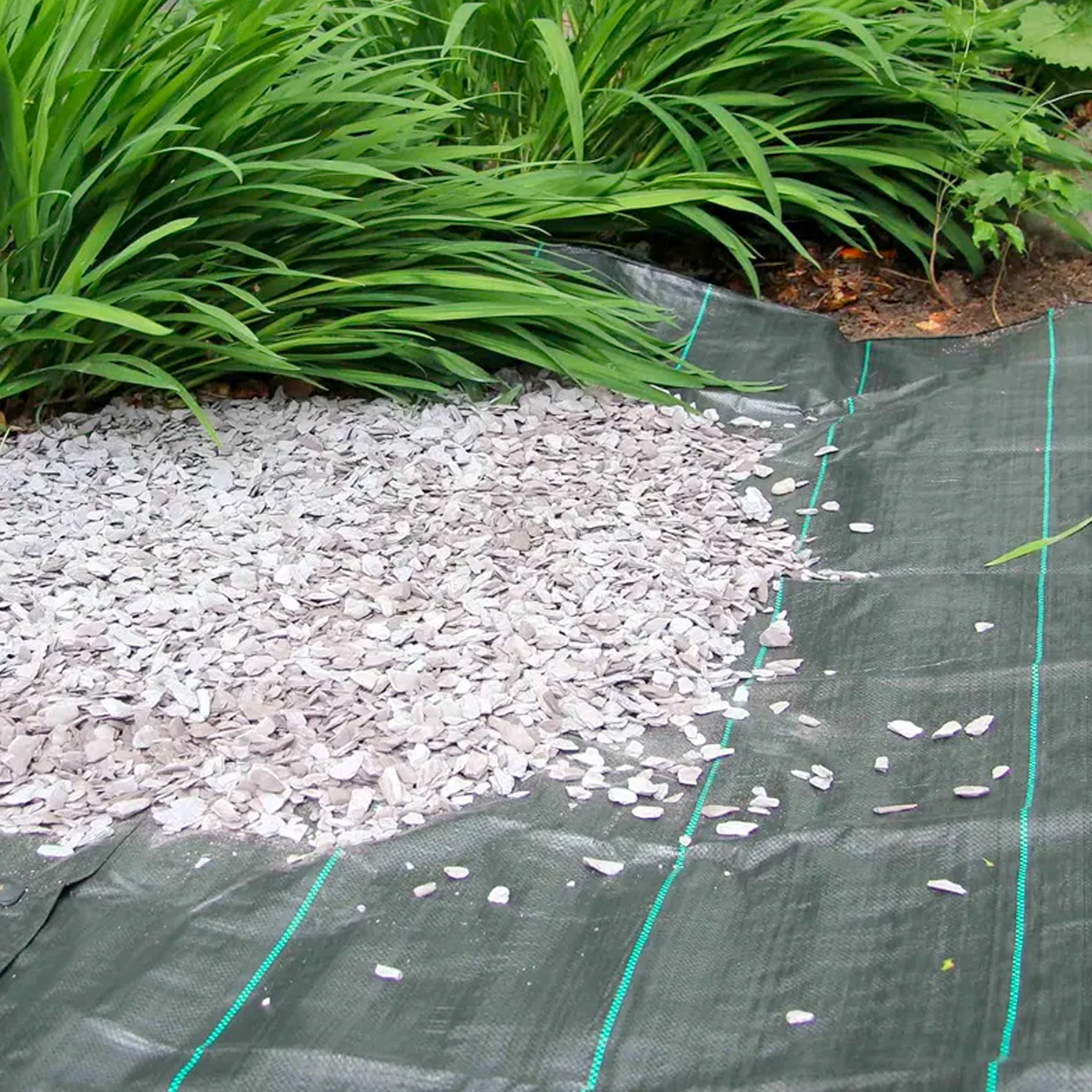 Telo Pacciamatura In Rotoli 90gr/mq Anti Erbacce Pacciamante Per Orto Giardino Elevata Stabilizzazione Raggi UV Permeabile Drenante Copertura Terreno Antialga Calpestabile (H 52 Cm X 25 M, Verde) 12 Telo Pacciamatura In Rotoli 90gr/mq Anti Erbacce Pacciamante Per Orto Giardino Elevata Stabilizzazione Raggi UV Permeabile Drenante Copertura Terreno Antialga Calpestabile (H 52 Cm X 25 M, Verde) -Negozio al dettaglio Piante Casa AAHKMJXYDAFdJAOAIMEbOAch7w5JgkD56B5b mYl T9Isf4DCJN 5REyQjePMyCh ltBtoxu