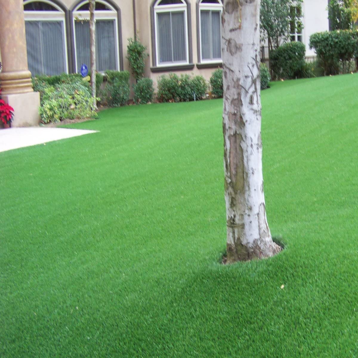 Erba Finta Prato Sintetico DIVINA GARDEN 30 Mm - 2x5 Mt, Verde, Drenante, Per Giardino E Locali Commerciali Erba Artificiale - Foto 5