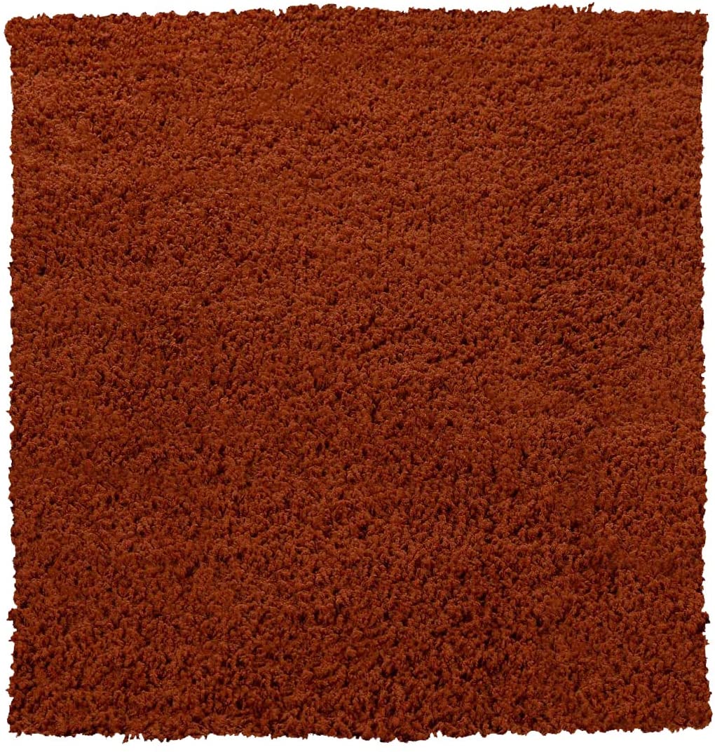 Tappeto Shaggy A Pelo Lungo Antiscivolo Moderno Per Salotto Camera Soggiorno In Diversi Colori E Misure, Colore Intenso E Brillante, 40 X 60 Cm, Terracotta 13 Tappeto Shaggy A Pelo Lungo Antiscivolo Moderno Per Salotto Camera Soggiorno In Diversi Colori E Misure, Colore Intenso E Brillante, 40 X 60 Cm, Terracotta -Armonia Decor AAHKMJXYDAFdJAOAIMEbOAch7w5JgkD56B5b mYl T9Isf4DCJN 5REyQjePMyCh luu0LPx1CwyB13gljfhsMAwqIz19Zdo YpAIps9MrBDK3hQooea NIGK2 4fCNfSAI=